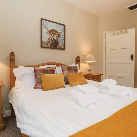 Larch At Esthwaite Water