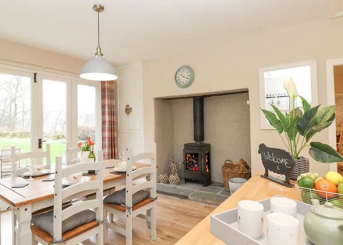 Larch At Esthwaite Water