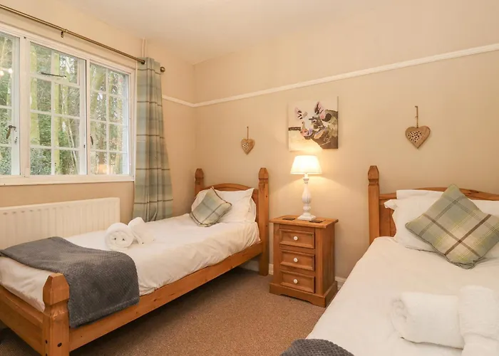 Larch At Esthwaite Water Эмблсайд