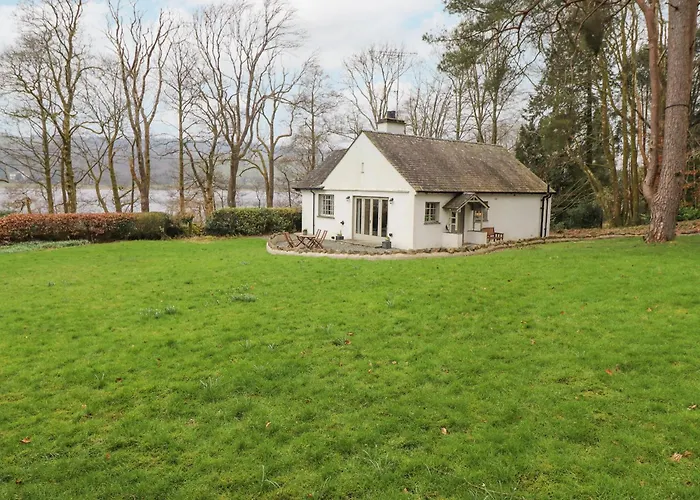 Larch At Esthwaite Water *