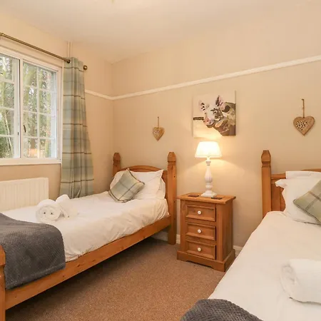 Larch At Esthwaite Water Ambleside