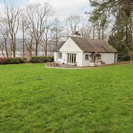 Larch At Esthwaite Water *