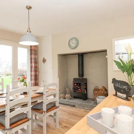 Larch At Esthwaite Water