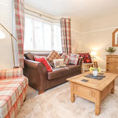 Larch At Esthwaite Water