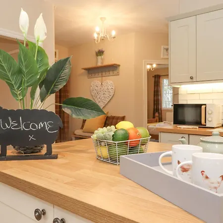 Larch At Esthwaite Water *